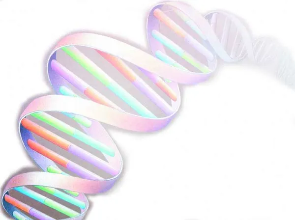 dna