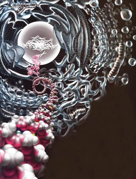 It is impossible for the information in DNA to have emerged through coincidences and natural processes.