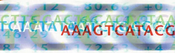 If just one of the codes that make up a gene contains an error, that gene will serve no purpose at all. It is impossible for the millions of nucleotides making