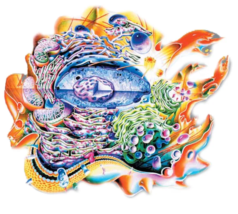 In Darwin’s day, no one knew that the cell has an exceedingly complex structure and system. As technology progressed, however, it became clear that these comple