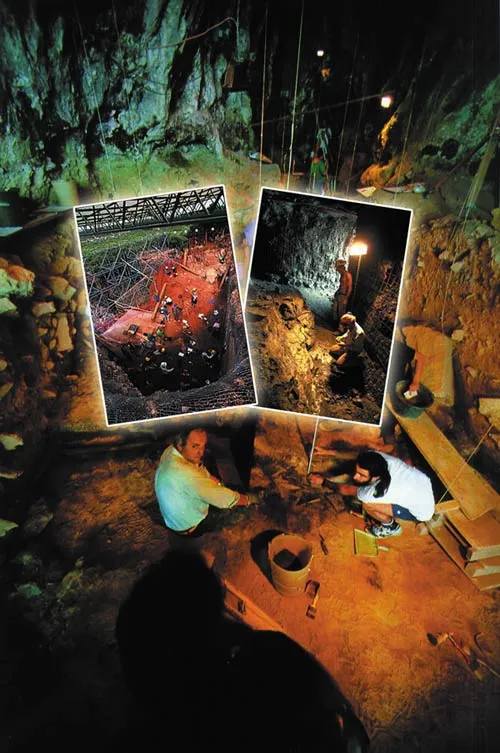 Ever since Darwin’s theory came to dominate the world of science, paleontology has been based upon that theory. Yet despite this, excavations in many regions of