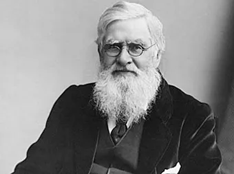 Alfred-Russell-Wallace