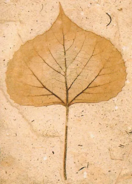 A 25-million-year-old plant fossil with the same structure as plants living today.