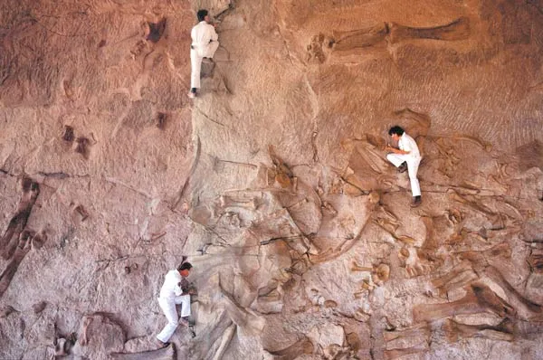 One of the most important branches of science to shed light on the origin of life is paleontology, the study of fossils. The fossil beds studied with enormous d
