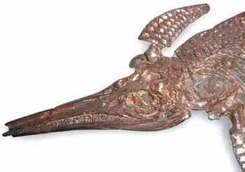 An ichthyosaur fossil, approximately 200 million years old